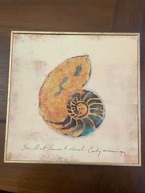 Pier 1 Seashell Glicee Framed Art
